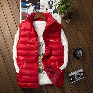 2025秋冬季新款薄款立领羽绒棉马甲青年男士坎肩外套2MJ86886-P45，男装背心/马甲，电商A076