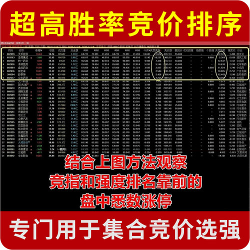 超高胜率集合竞价排序选股指标