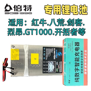倍特电动车 红牛 八荒 剑客 烈昂 电动摩托车九号等专用锂电池