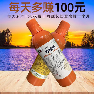 进口液体宠物复合维生素猫咪狗狗赛鸽子补钙美毛通用营养补充专用