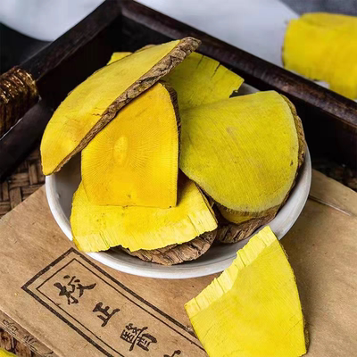 十大功劳木土黄连刺黄连刺黄柏