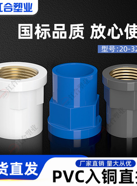 PVC给水管配件大全入铜直接头 异径内丝4分6分1寸内螺纹20 25 32