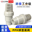 PPH底阀PPR球型逆止阀PP热熔球芯单向阀水泵抽水花篮莲蓬头过滤阀