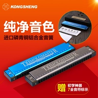 Harmonica 24 lỗ đa âm cho người mới bắt đầu trẻ em học sinh thực hành lỗ âm thanh Harmonica hiệu suất nhập c điều chỉnh nhạc cụ - Nhạc cụ phương Tây đàn guitar mini