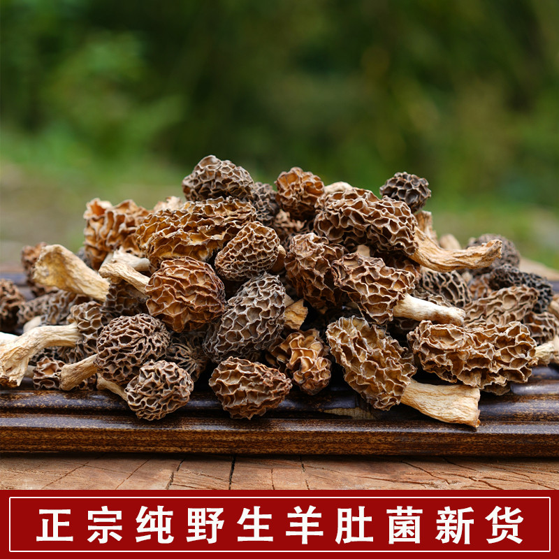 新货野生羊肚菌干货正宗纯野生羊肚菌羊肚蘑菇煲汤食材野生菌500g