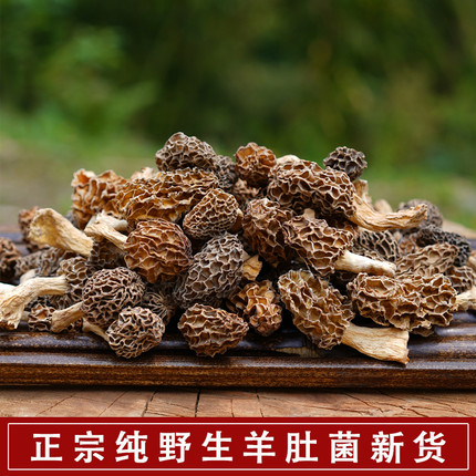 新货野生羊肚菌干货正宗纯野生羊肚菌羊肚蘑菇煲汤食材野生菌500g