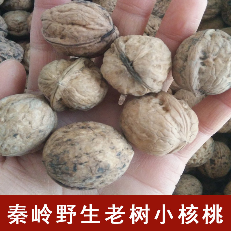 秦岭老树核桃小核桃干核桃5斤