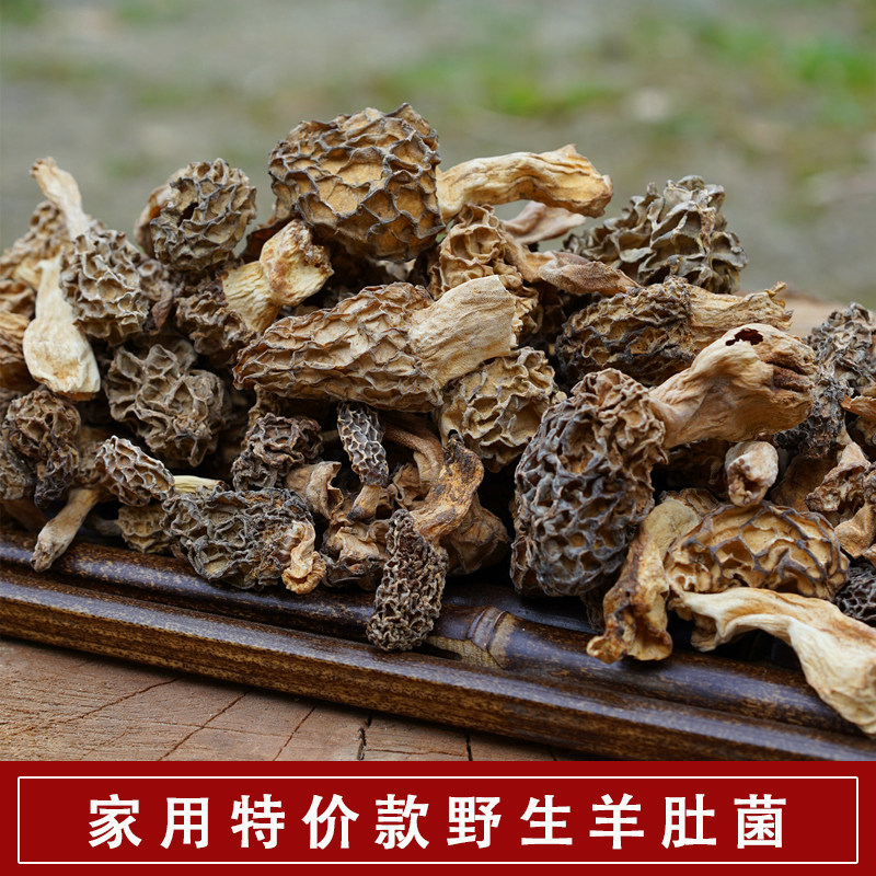 新货家用特价野生羊肚菌干货正宗纯野生羊肚菌羊肚蘑菇煲汤野生菌