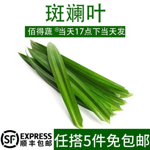 斑斓叶新鲜食用千层蛋糕原料摆盘装饰奶茶烘焙商用班兰叶子香兰叶