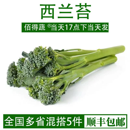 西兰苔新鲜蔬菜手指西兰花兰花苔