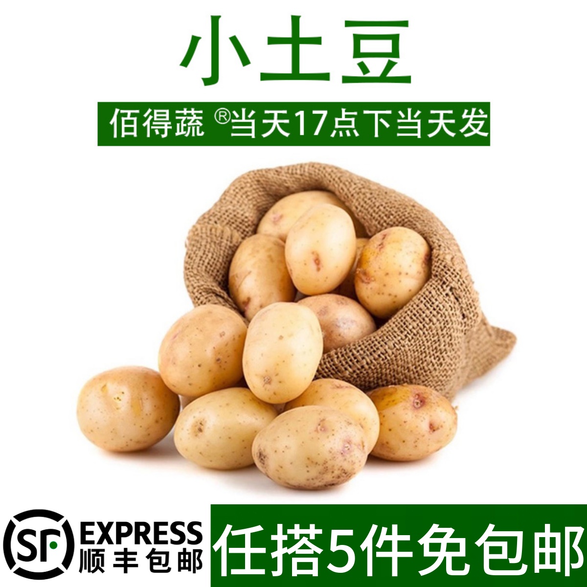 现挖土豆新鲜小土豆1斤农家自种