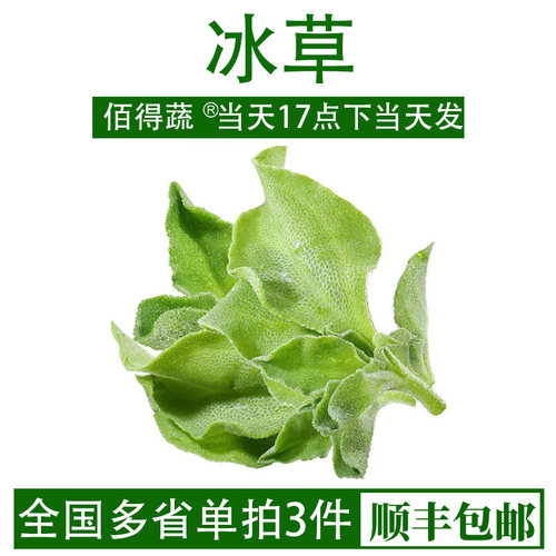 冰草新鲜蔬菜食用冰菜即食生吃