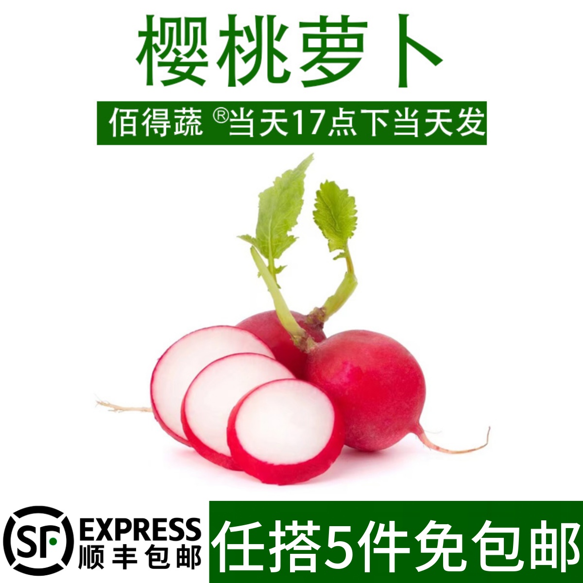 樱桃萝卜新鲜小萝卜蔬菜沙拉食材
