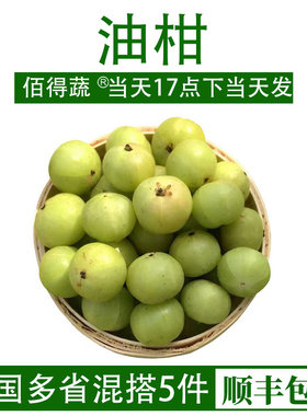 青油甘果牛甘果新鲜油柑