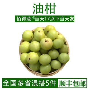 青油甘果余甘果牛甘果新鲜采摘油柑生吃清爽甘甜酸水果余甘子500g