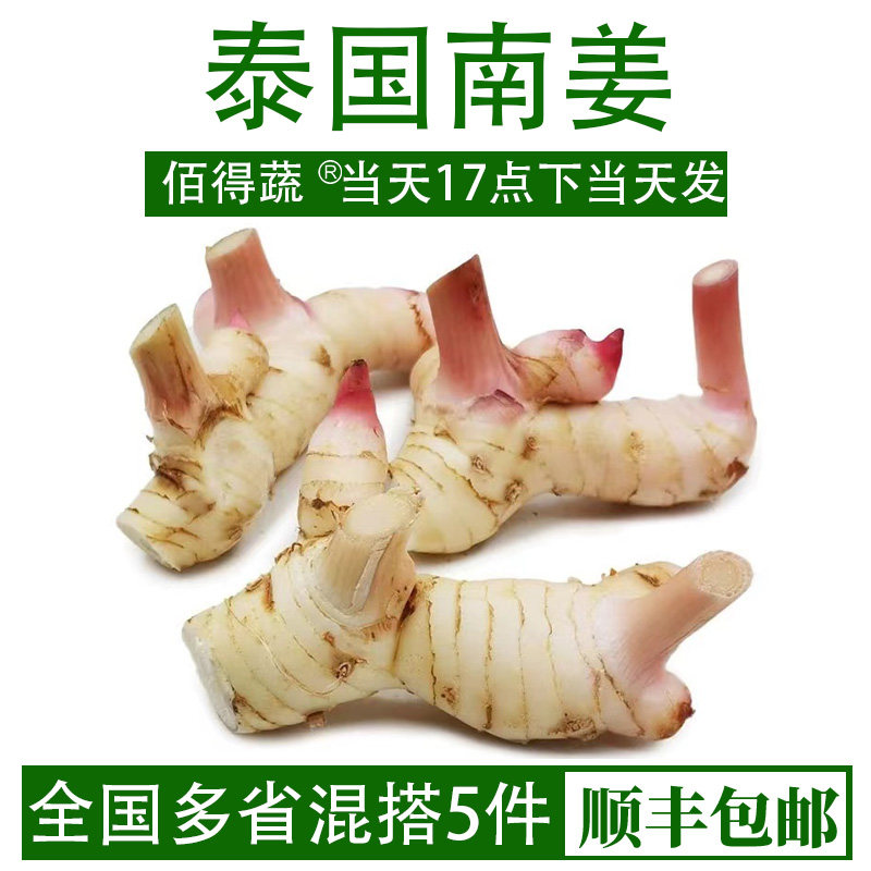 泰国南姜新鲜高良姜泰式冬阴功汤原材料调料火锅底料生姜香料蔬菜