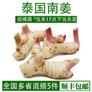 泰国南姜新鲜高良姜泰式 冬阴功汤原材料调料火锅底料生姜香料蔬菜