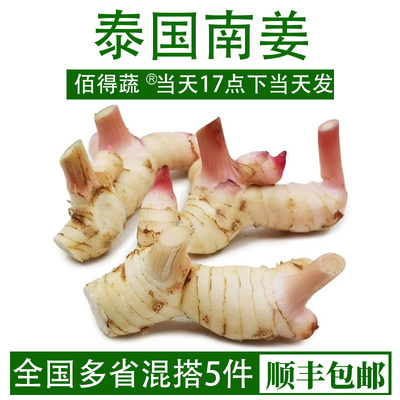 泰国南姜新鲜高良姜泰式冬阴功汤