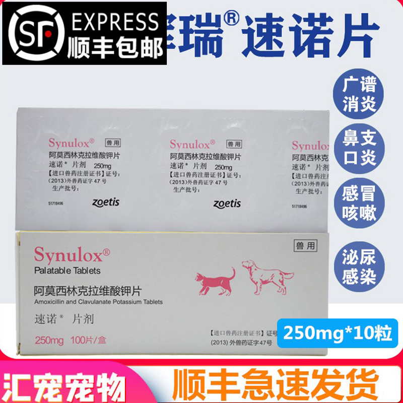 速诺片消炎药狗狗猫咪