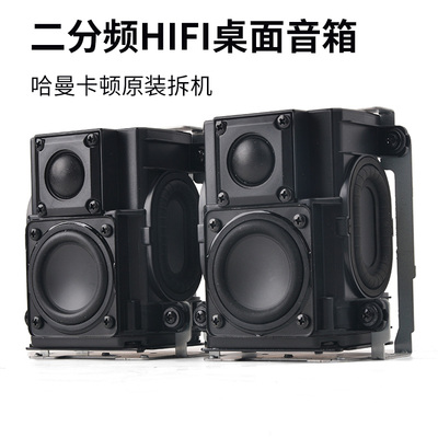丹麦B＆O二分频无源音箱