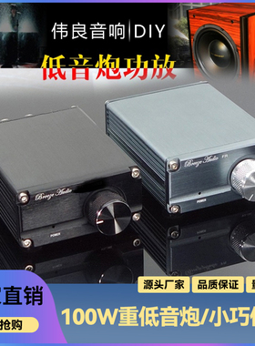 伟良B3 100W HIFI发烧音响专业低音炮D类数字功放 大功率放大器