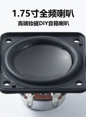 丹麦B＆O二分频无源音箱