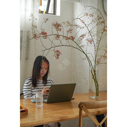 花曌 山归来鲜切植物鲜切枝条水养真植物中国东方中式家居瓶插花