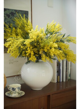 花曌 金合欢银合欢圣诞花柠檬黄鲜花水养真花家居瓶插花可做干花