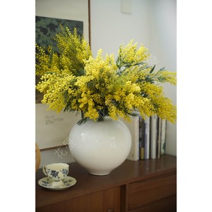 花曌 金合欢银合欢圣诞花柠檬黄鲜花水养真花家居瓶插花可做干花