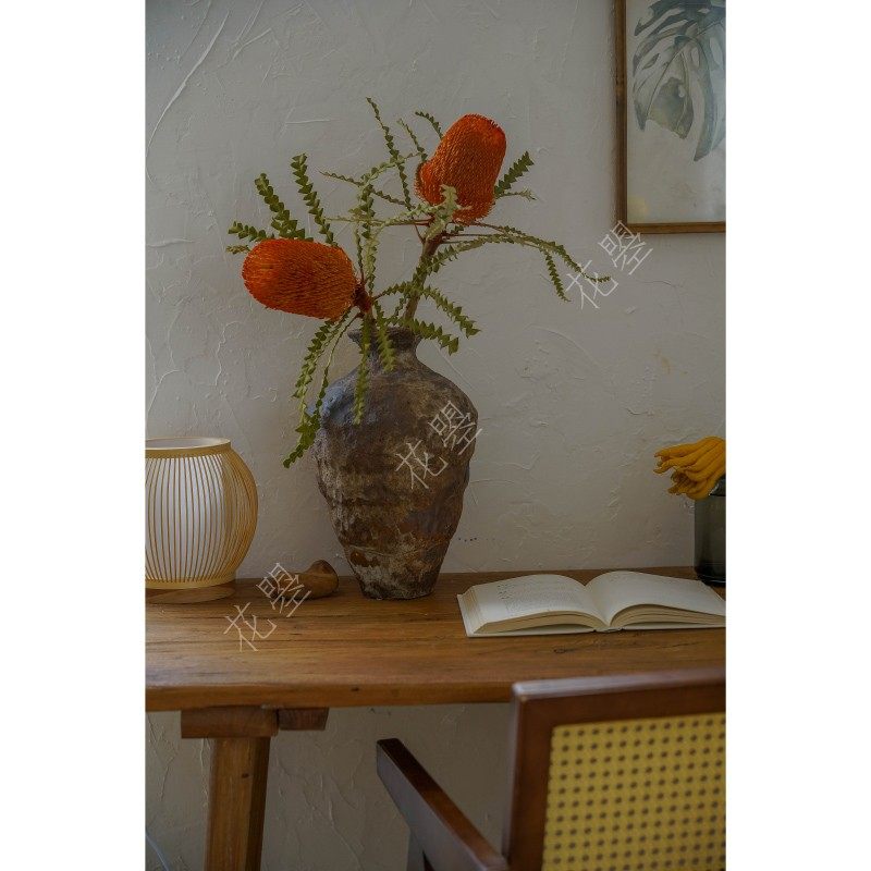 花曌 【南非进口佛塔花】【真花干花】【家居瓶插花】家居装饰,鲜花速递/花卉仿真/绿植园艺,花材,淘宝优惠券,粉丝福利购,淘宝优惠卷