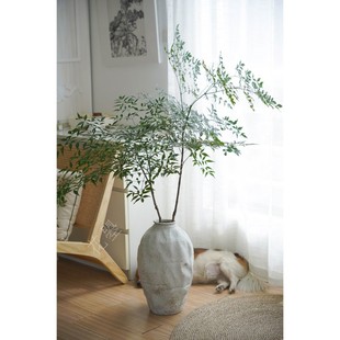 花曌 1.2米高大枝绿天竹鲜切枝植物水养家居瓶插花南天竹室内落地