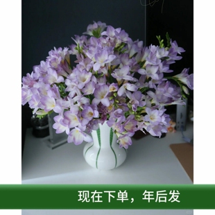 这个味道真的很好闻哦紫色香雪兰鲜花瓶插花餐桌面书桌岛台插花材