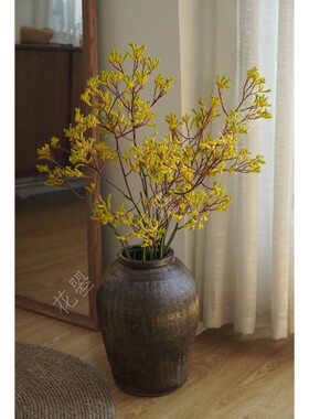 花曌 袋鼠爪花鲜花水养鲜切花真花可做干花餐桌面落地家居瓶插花
