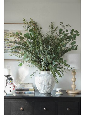 尤加利果尤加利叶鲜花水养真花可做干花花瓶插花材书桌餐桌面插花