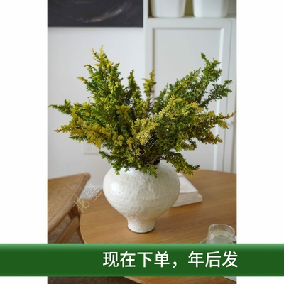 超长待机的鲜切花瓶插花