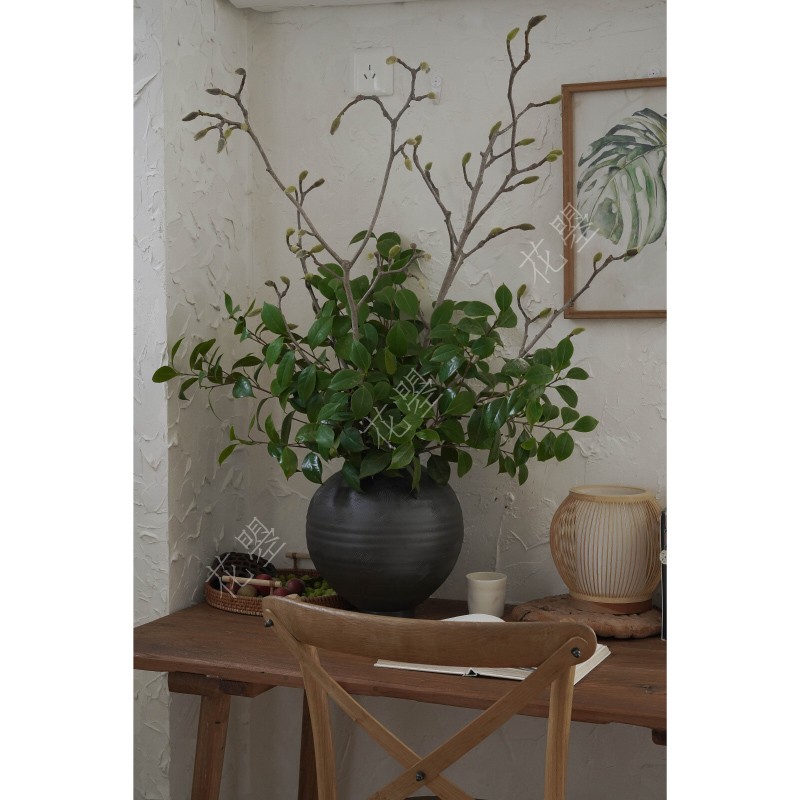 新鲜茶花叶白玉兰组合插花