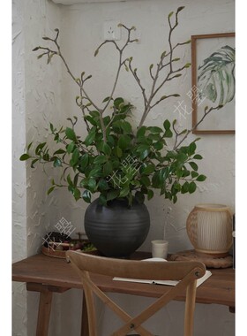 花曌 新鲜茶花叶白玉兰枝条水养鲜切枝树枝组合插花家居瓶插花