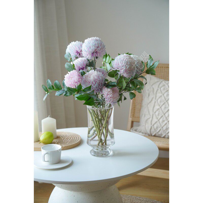 花曌 人间富贵花彩色牡丹菊茶花叶组合鲜花水养真花家居瓶插花