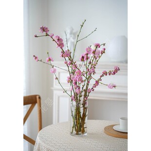 桃花鲜枝桃花鲜切桃花鲜花水养真花瓶插花桃花运桃花枝新鲜的桃花