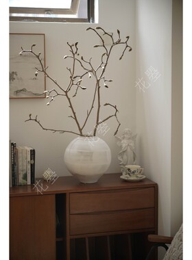 花曌 白玉兰紫玉兰鲜切枝条水养鲜花可做干花真花家居瓶插花诧寂