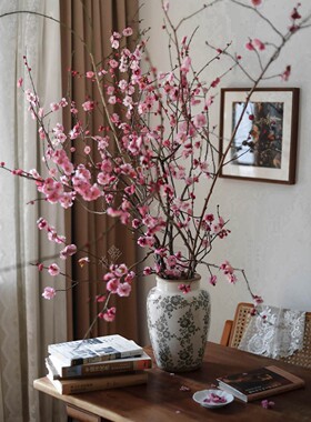 新鲜采摘春梅花鲜花水养粉梅花枝条红梅花瓶插花茶席茶室工作室花