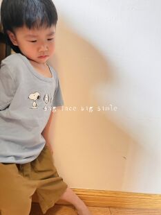 三只小狗狗  蓝色棉布夏季短袖T恤100-130
