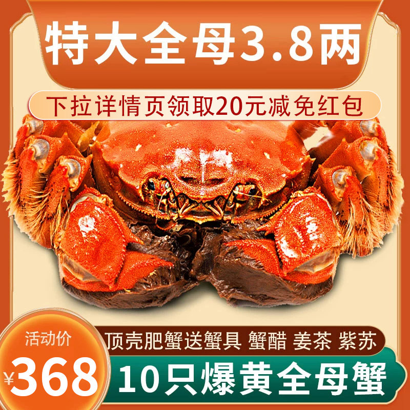 10只特大大闸蟹鲜活现货可全母蟹阳澄湖镇发螃蟹海鲜河蟹水产礼盒使用感如何?