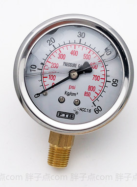 充油直立式压力表0~60kg/cm2气压