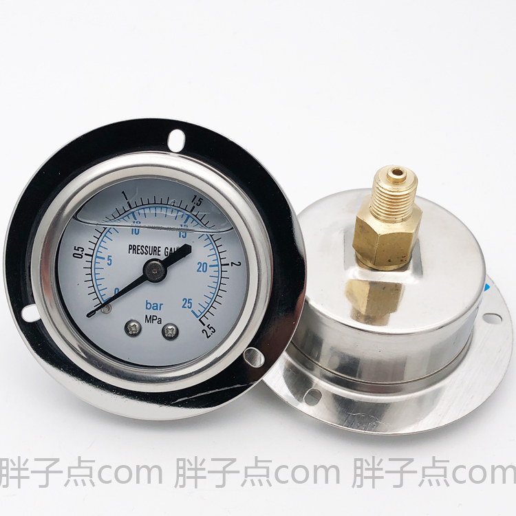 YN50ZT耐震压力表0-2.5mpa液压表25bar水压表螺纹M10*1轴向安装
