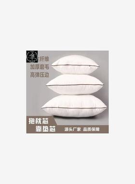 1pc Highgrade brushed cloth pillow core vacuum cushion core