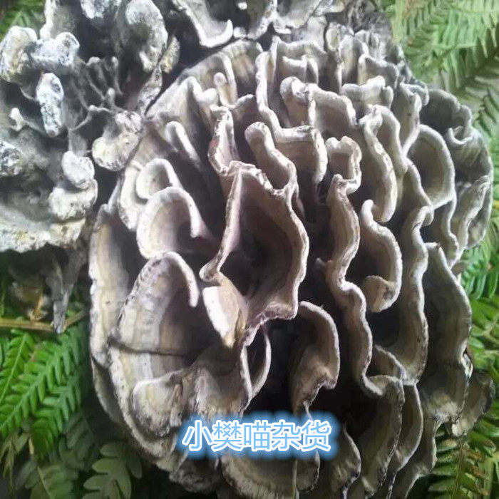 新品鲜货云南野生干巴菌精选山珍