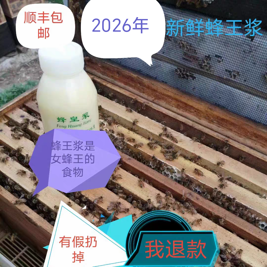 2026年新鲜油菜春浆纯正蜂王浆天然自产新鲜蜂皇浆500g小严蜜坊