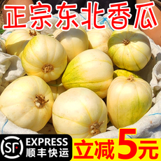 东北香瓜白糖罐脆甜多汁新鲜应季小甜瓜孕妇水果新鲜5斤顺丰包邮
