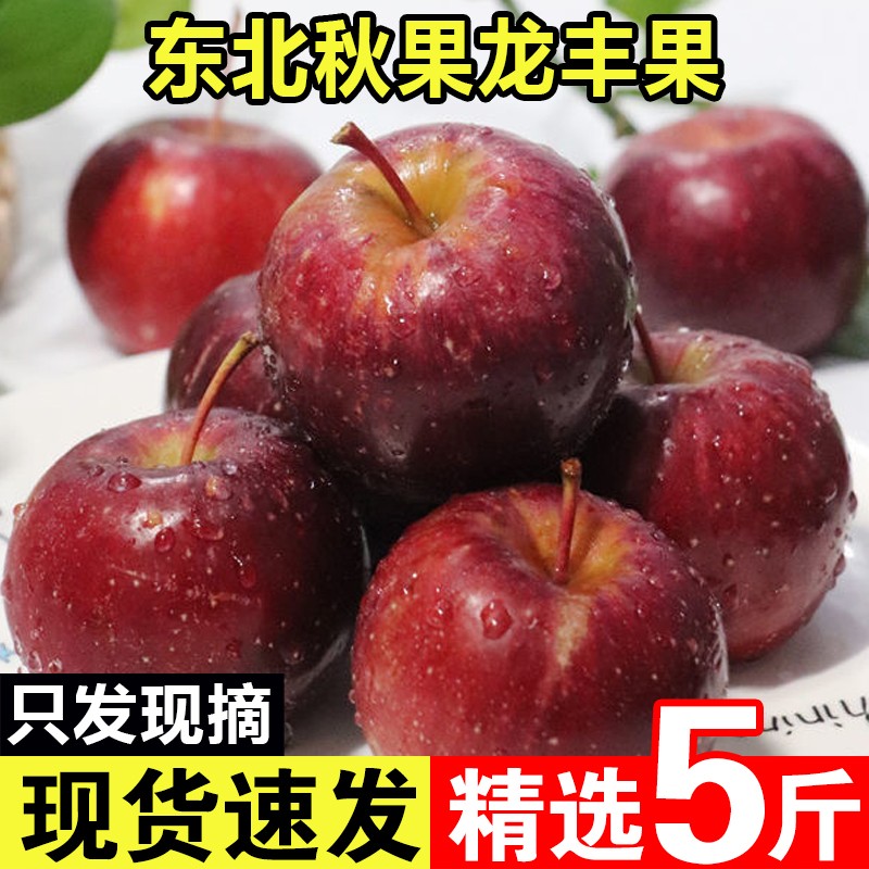东北特产龙丰果大秋果孕妇应季小苹果新鲜当季5斤整箱包邮非沙果图片